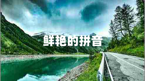 鮮艷的拼音