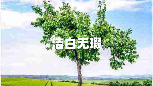 潔白無(wú)瑕