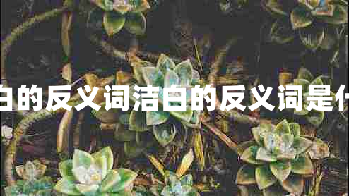 潔白的反義詞潔白的反義詞是什么