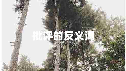 批評的反義詞