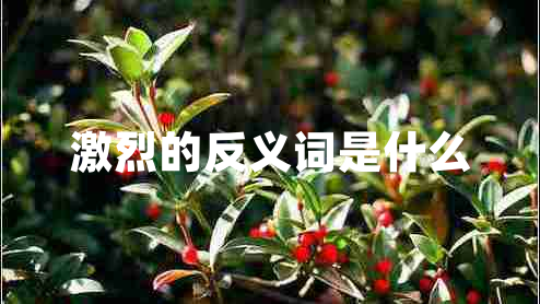 激烈的反義詞是什么