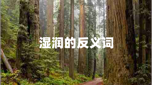 濕潤的反義詞