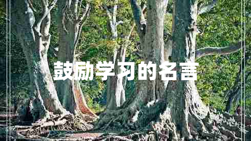 鼓勵學(xué)習的名言