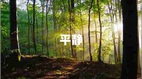 平靜