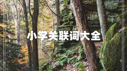 小學(xué)關(guān)聯(lián)詞大全