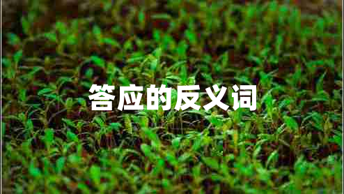 答應的反義詞