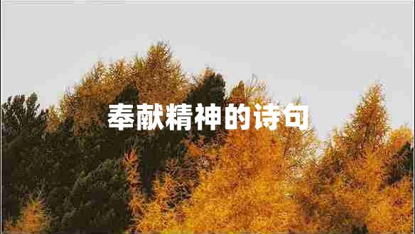奉獻精神的詩(shī)句