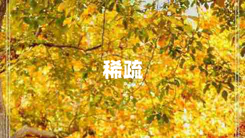 稀疏