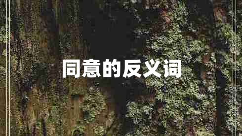 同意的反義詞