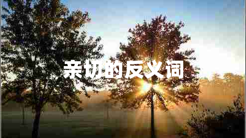 親切的反義詞