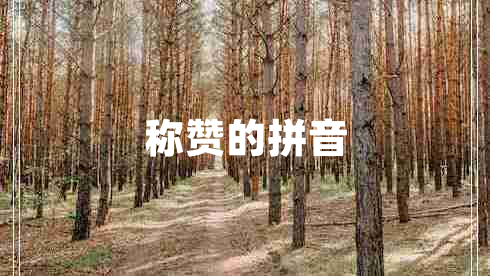 稱(chēng)贊的拼音