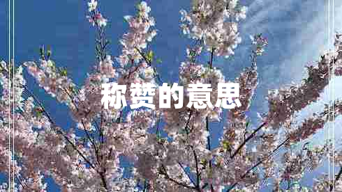 稱(chēng)贊的意思