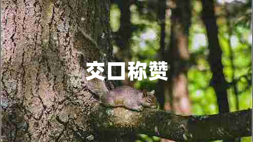 交口稱(chēng)贊