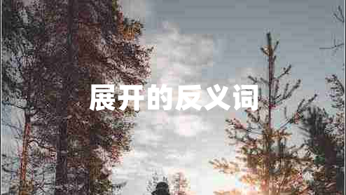 展開(kāi)的反義詞