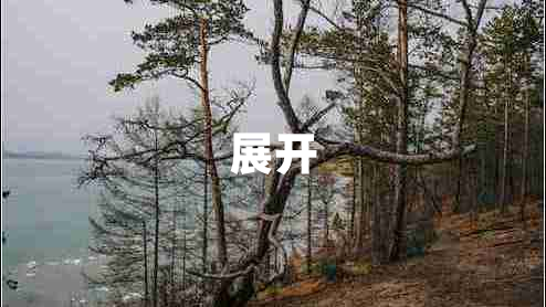 展開(kāi)