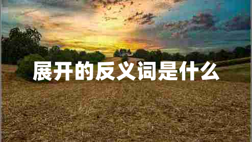 展開(kāi)的反義詞是什么