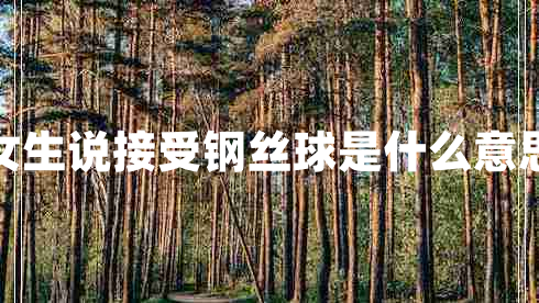 女生說(shuō)接受鋼絲球是什么意思