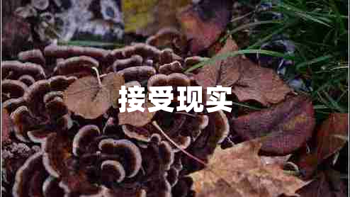 接受現實(shí)