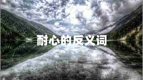耐心的反義詞