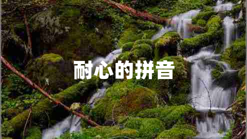 耐心的拼音 耐心的拼音