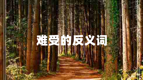 難受的反義詞