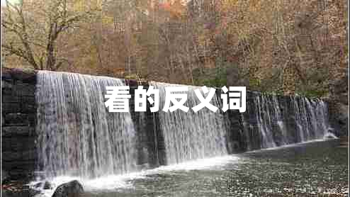 看的反義詞