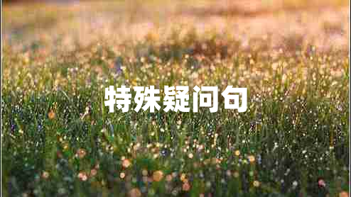 特殊疑問(wèn)句