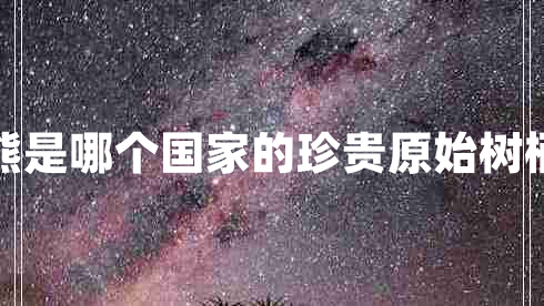 樹(shù)袋熊是哪個(gè)國家的珍貴原始樹(shù)棲動(dòng)物