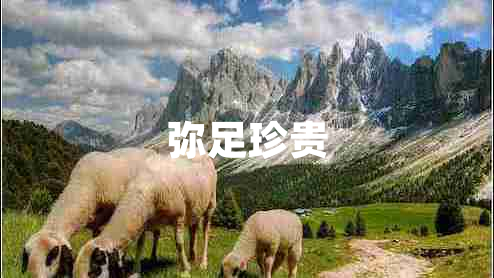 彌足珍貴
