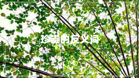 珍貴的反義詞