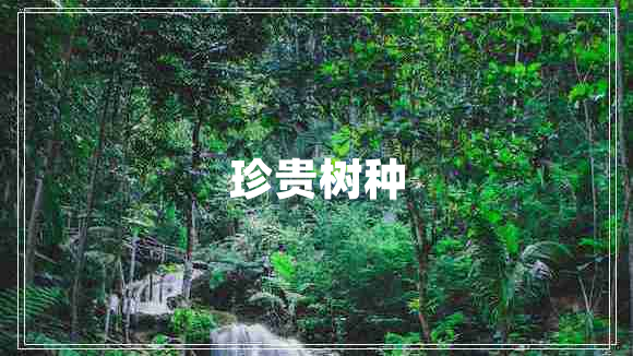 珍貴樹(shù)種