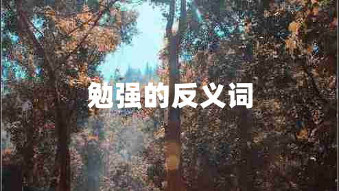 勉強的反義詞