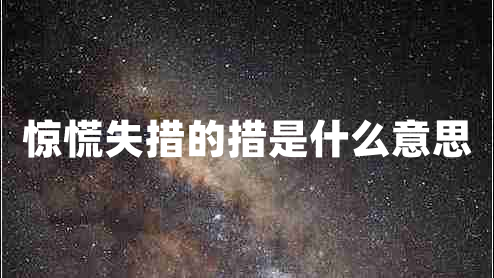 驚慌失措的措是什么意思