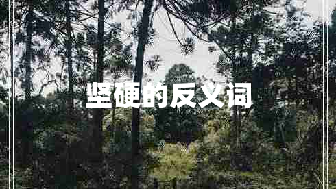 堅硬的反義詞