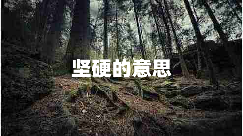 堅硬的意思