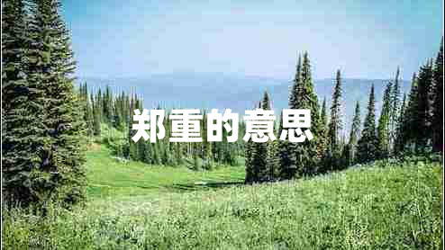 鄭重的意思