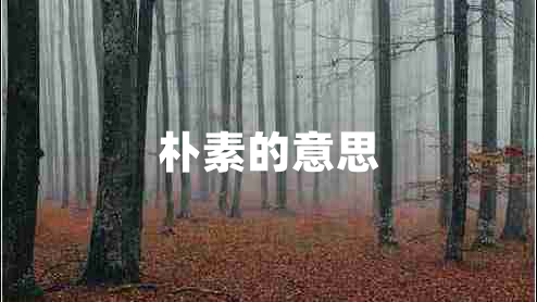 樸素的意思