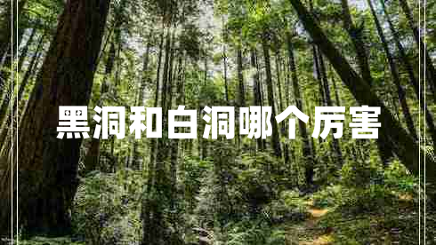 黑洞和白洞哪個(gè)厲害