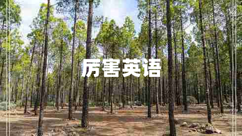 厲害英語(yǔ)