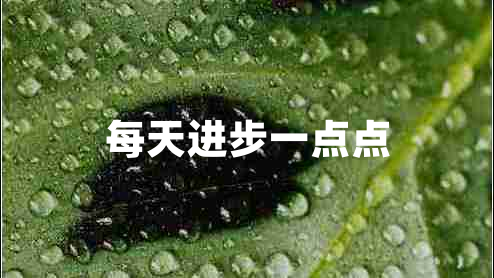 每天進步一點點