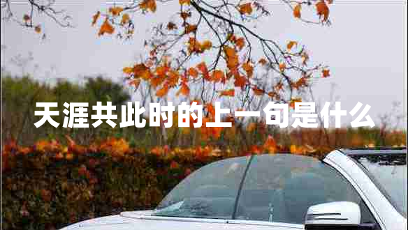 天涯共此時(shí)的上一句是什么
