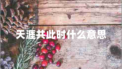 天涯共此時(shí)什么意思