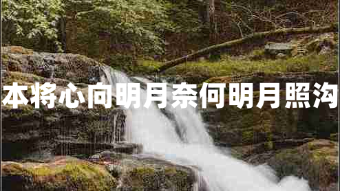 我本將心向明月奈何明月照溝渠