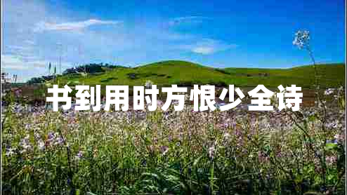 書(shū)到用時(shí)方恨少全詩(shī)