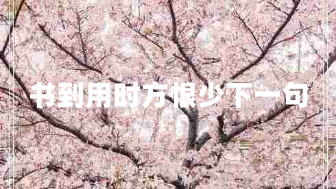 書(shū)到用時(shí)方恨少下一句