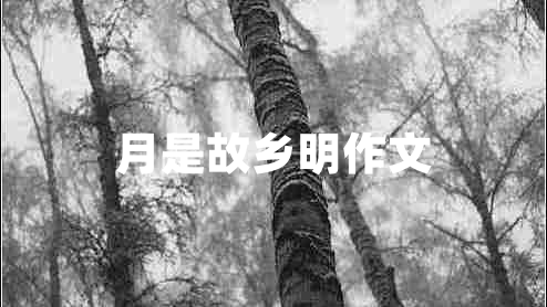 月是故鄉明作文