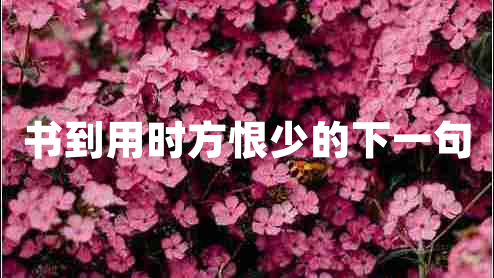 書(shū)到用時(shí)方恨少的下一句