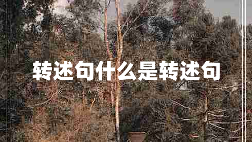 轉述句什么是轉述句