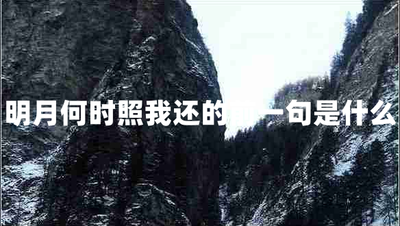 明月何時(shí)照我還的前一句是什么