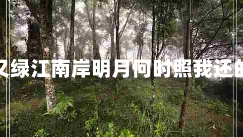 春風(fēng)又綠江南岸明月何時(shí)照我還的意思